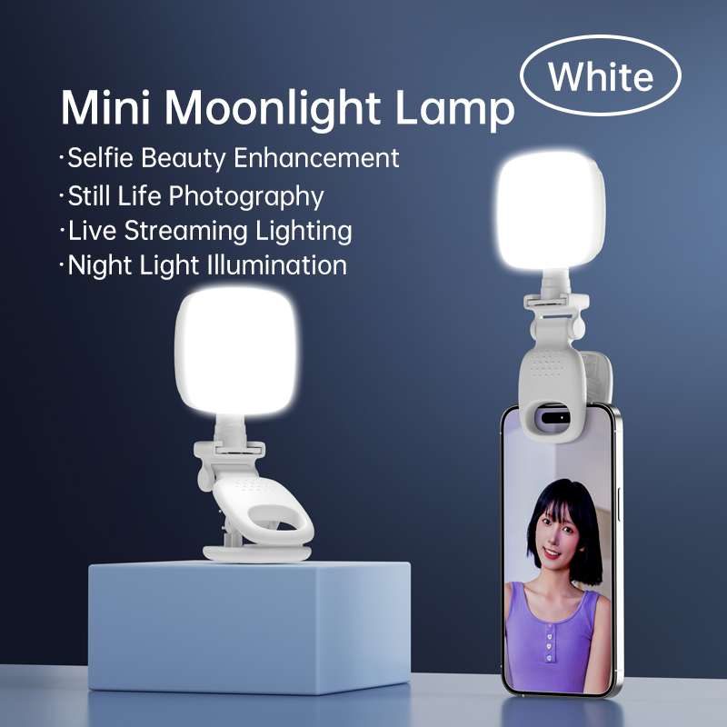 Photography Lighting Professional - Portable LED Selfie lumière caméra Mini