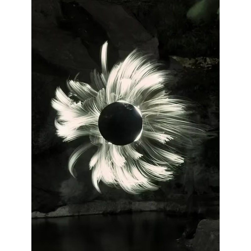 Module de lumière à brosse lum - Photography Lighting Guide avis et prix