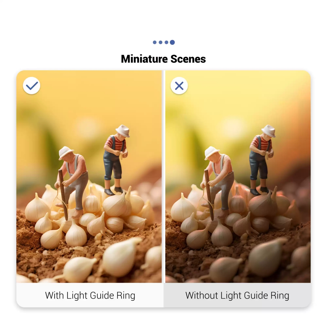 Anneau de guidage de lumière L - Photography Lighting Guide avis et prix